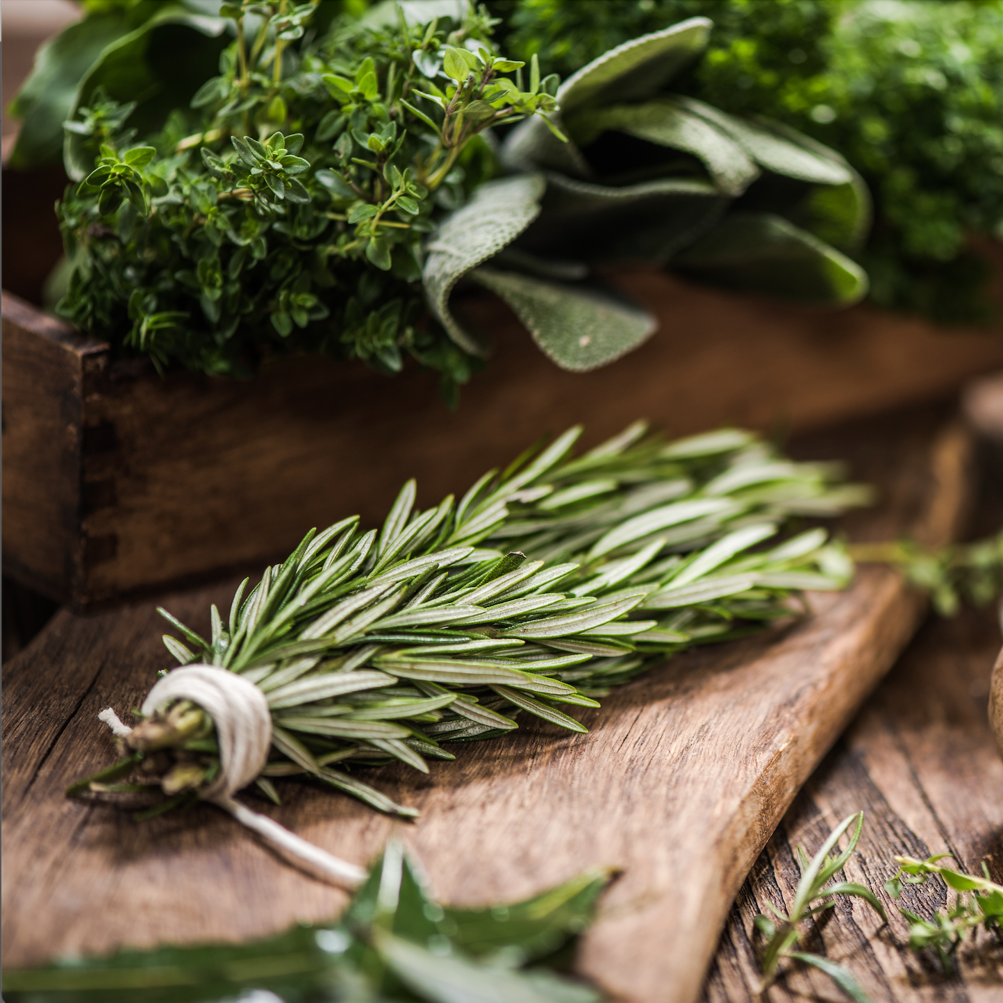 Australian family living low-tox at home — Kura Health natural living guide