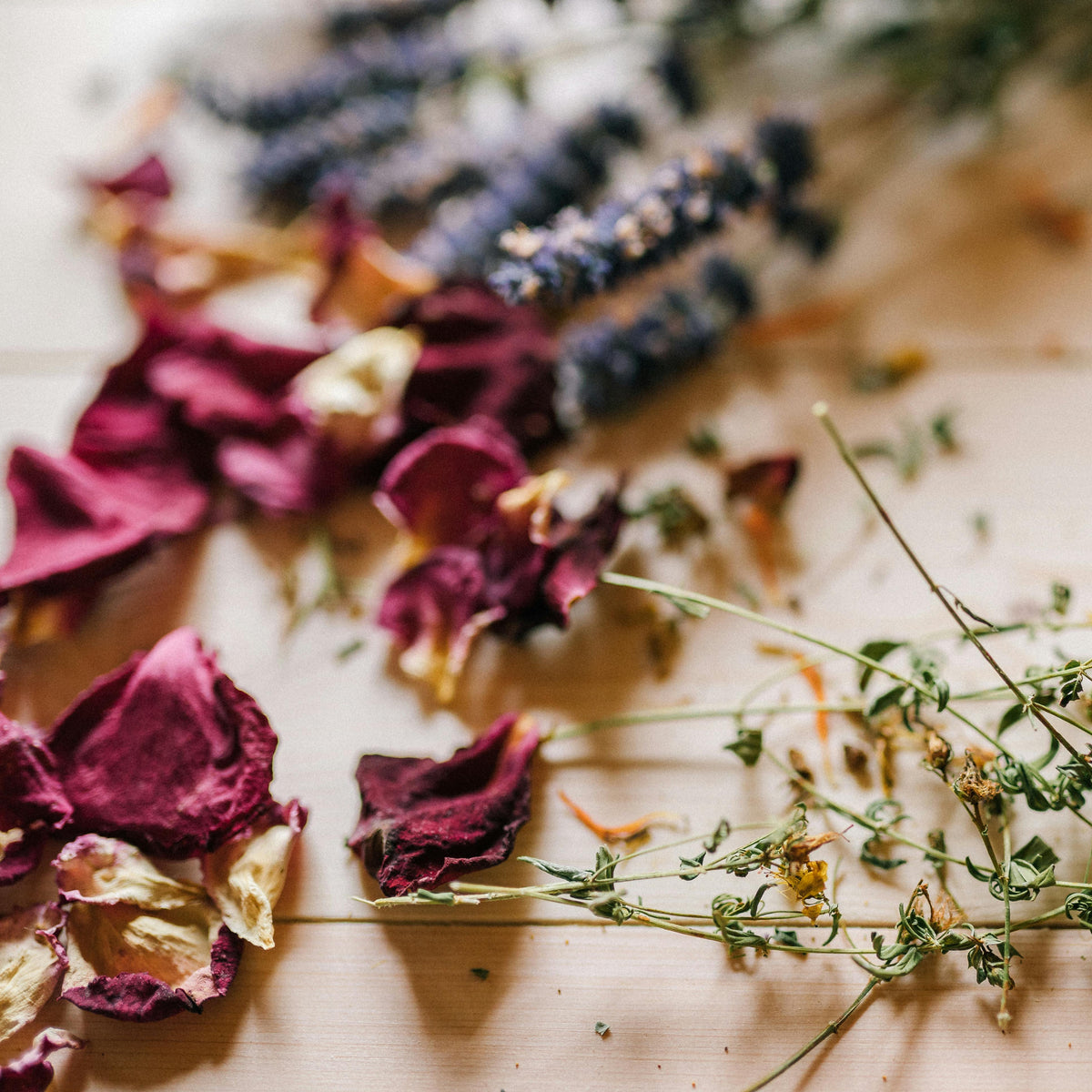Mother and child at home embracing low-tox living — Kura Health Australia